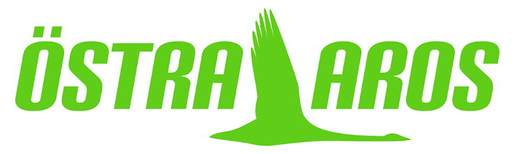 Östra Aros